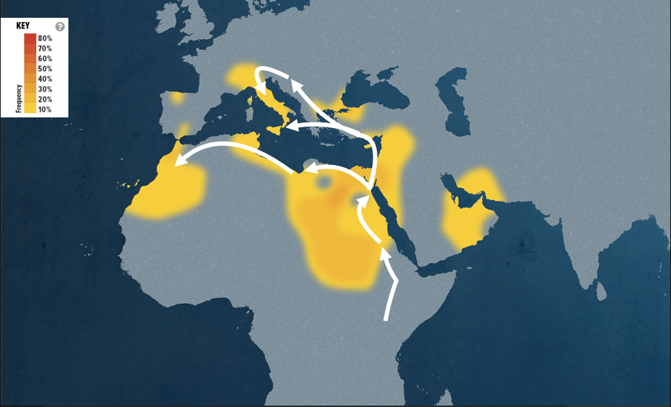 E-V22 Heatmap