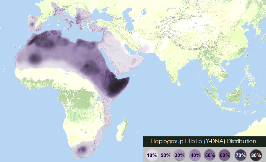 E1b1b distribution