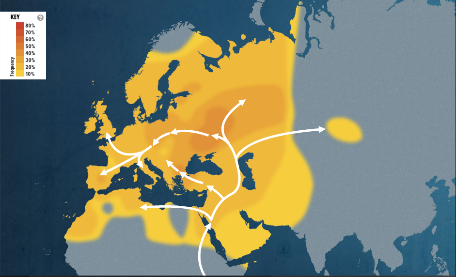 H heatmap